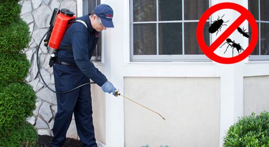 Doğanyol Bit İlaçlama böcek ilaçlama ve haşere kontrolü — ilaclama-tr.com